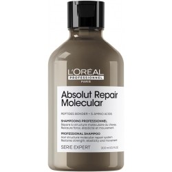 Shampooing Absolut Repair...